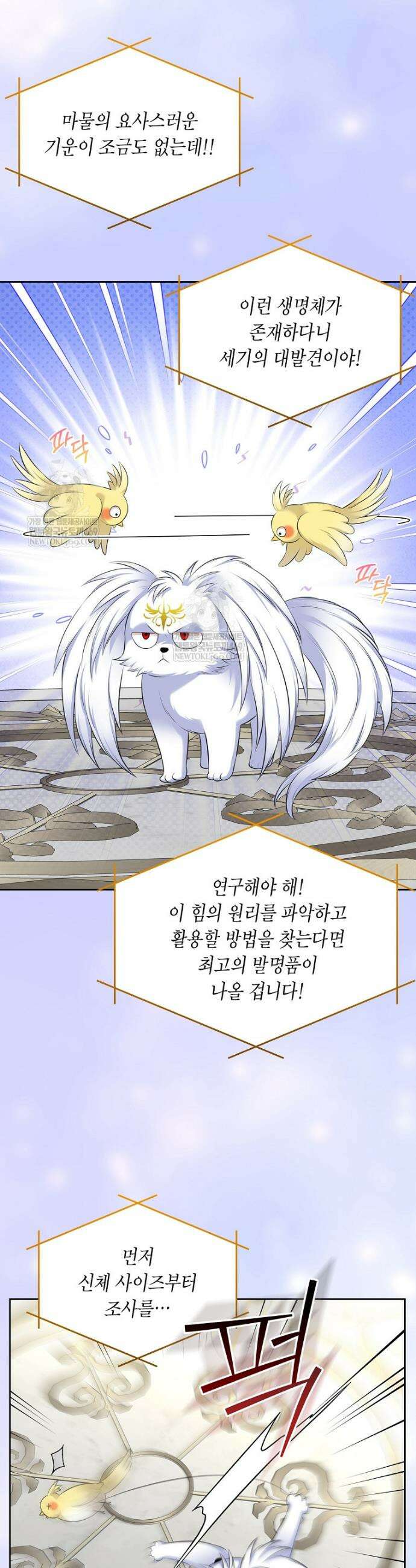 여주의 시스콤 오빠와 이혼하겠습니다 99화 26