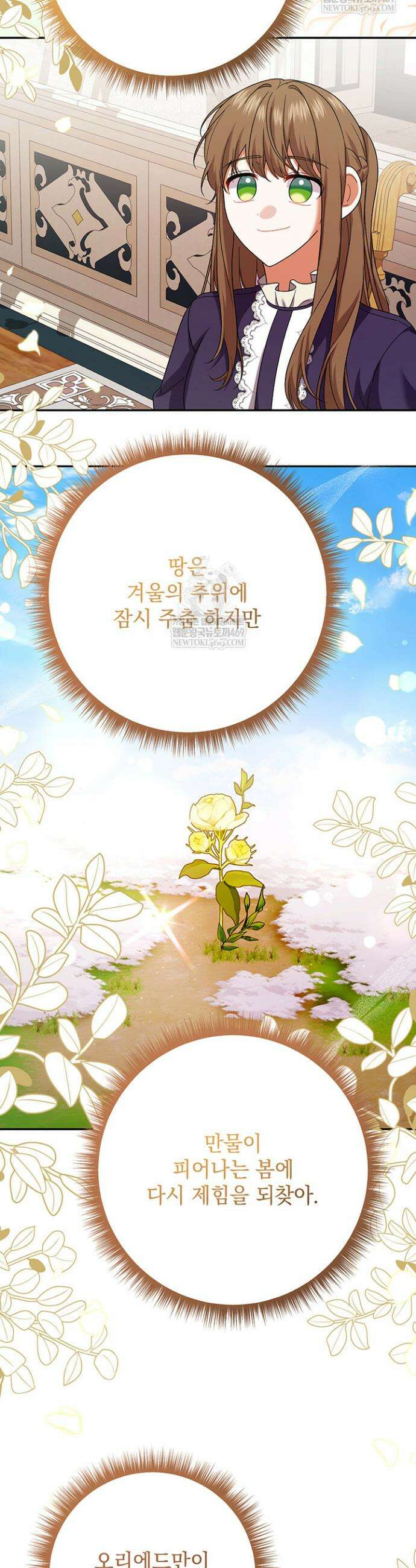 한 줄짜리 영애였을 터 259화 32