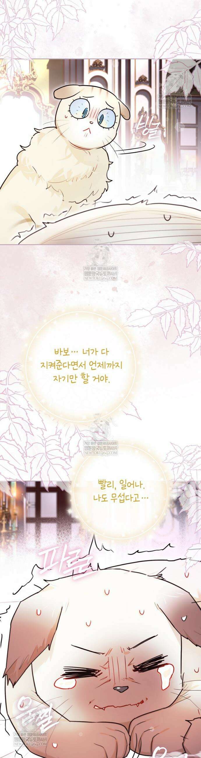 악역에 빙의했지만, 고양이나 키울래요 76화 7