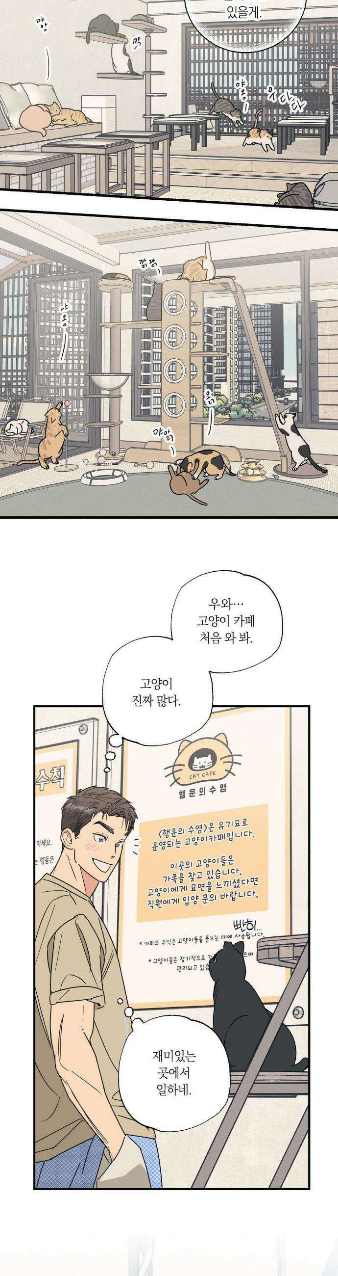 상호간택 3화 2