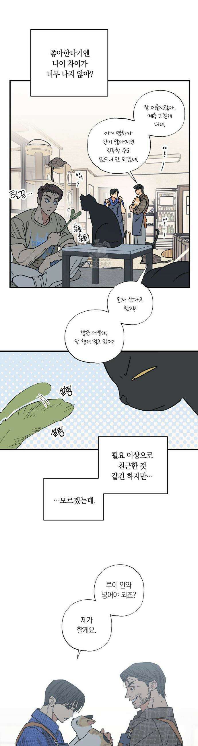상호간택 3화 6