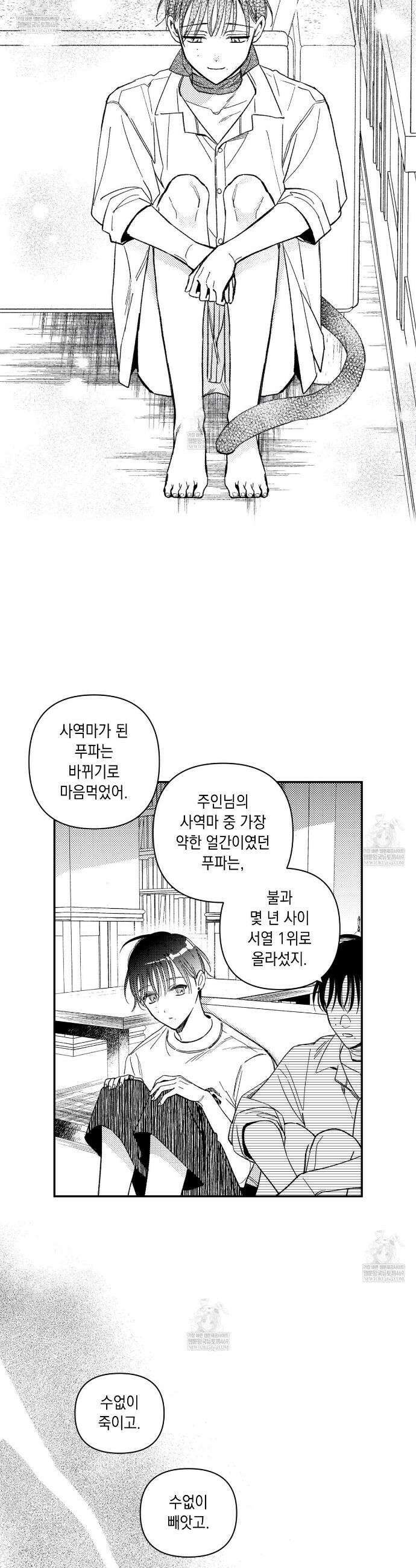바다 밑 산호 속에는 62화 11