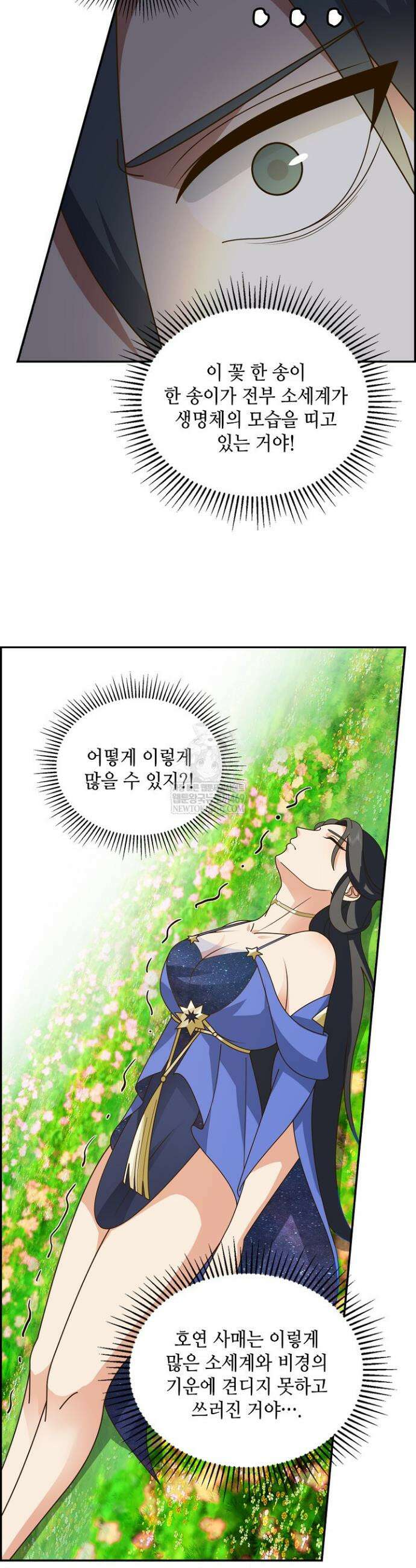 무련전봉 1915화 25