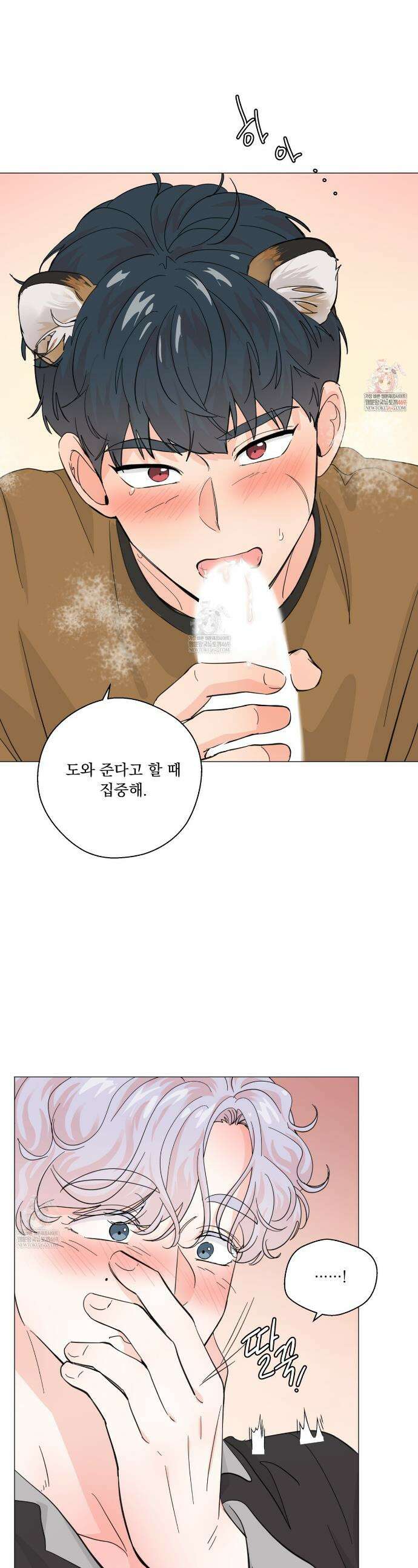 호랑이 생일 떡 20화 1