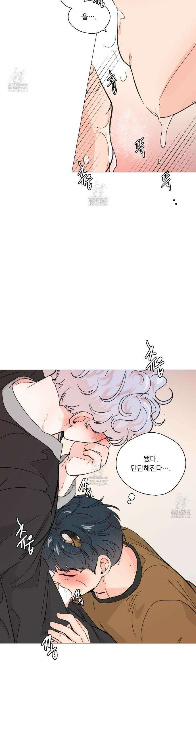 호랑이 생일 떡 20화 3