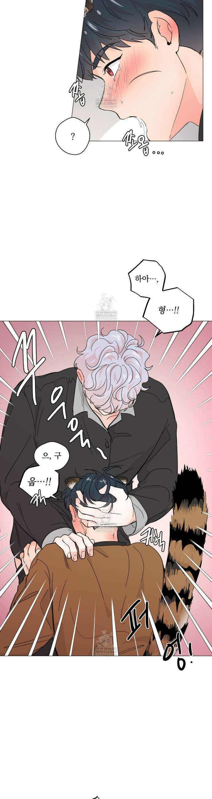 호랑이 생일 떡 20화 5