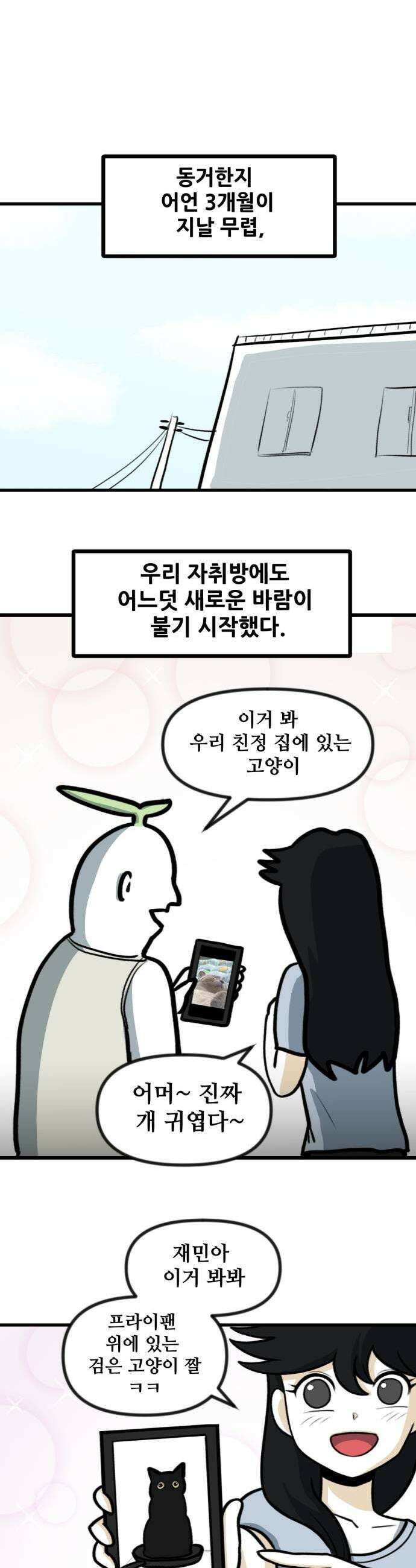 방구석 재민이 27화 고양이 입양기 1