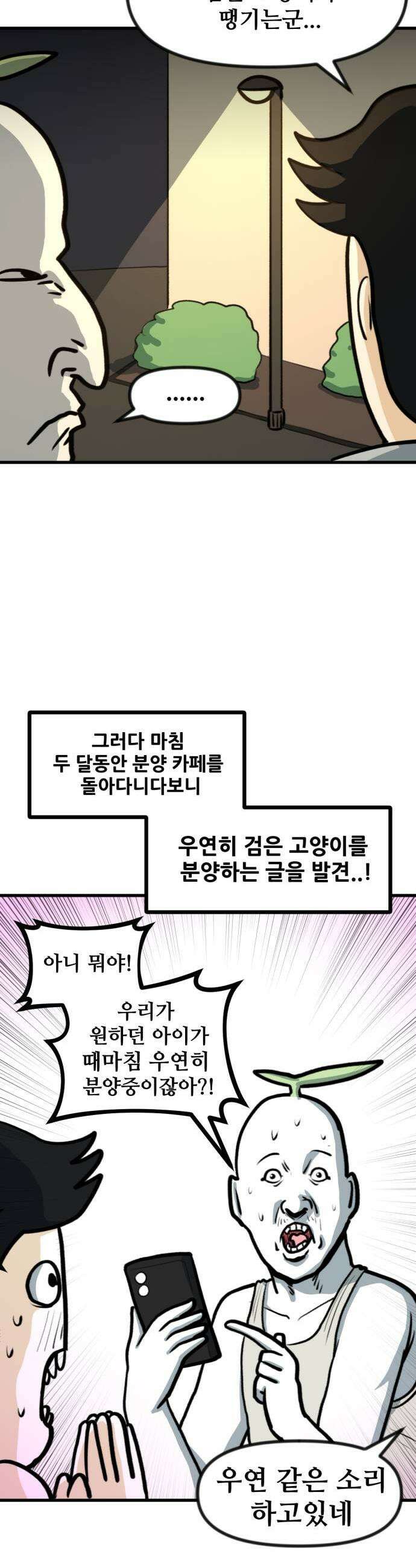 방구석 재민이 27화 고양이 입양기 3