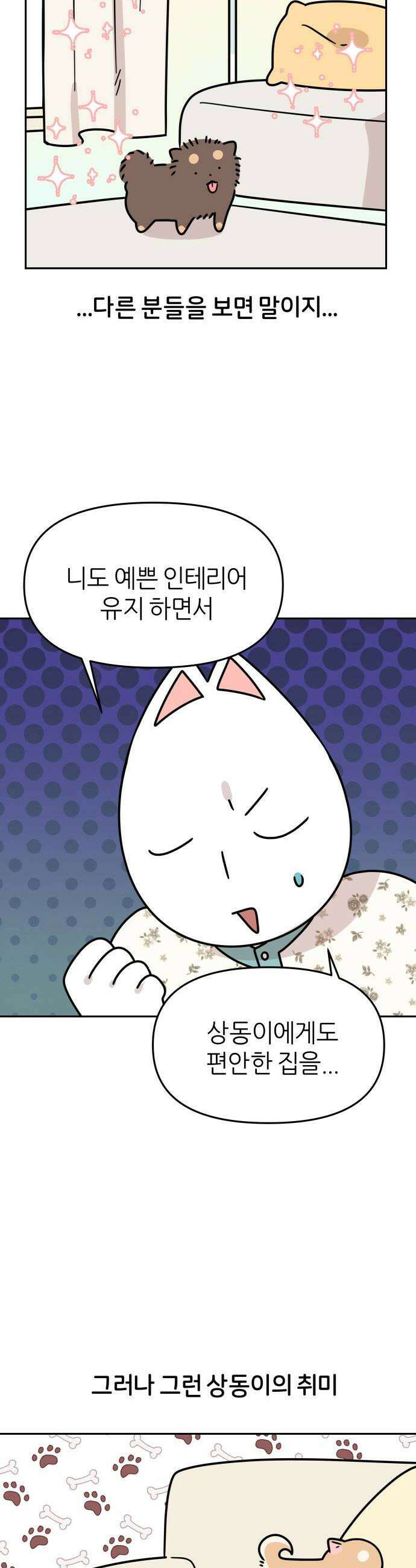 시바, 만만치 않다 75화 방 꾸미기 4