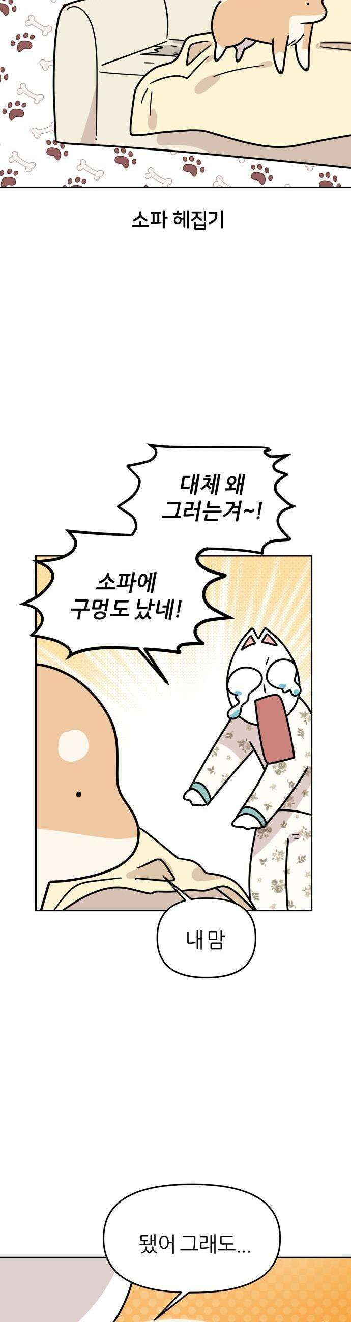 시바, 만만치 않다 75화 방 꾸미기 5