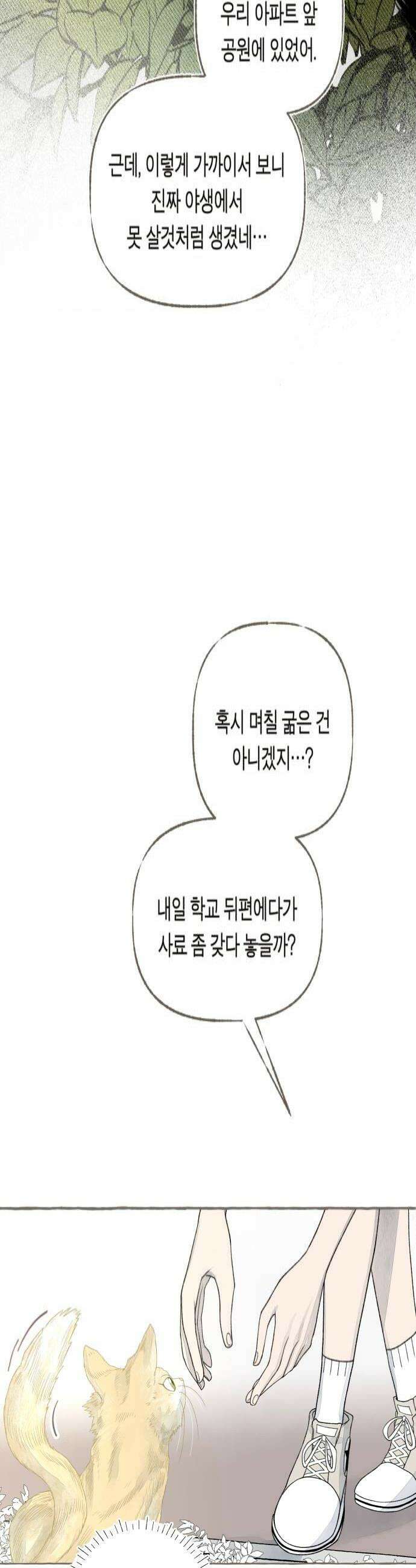 아이캣치유 09 휘어진 공간 4