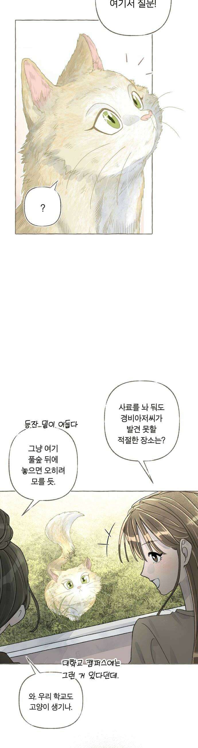 아이캣치유 09 휘어진 공간 6