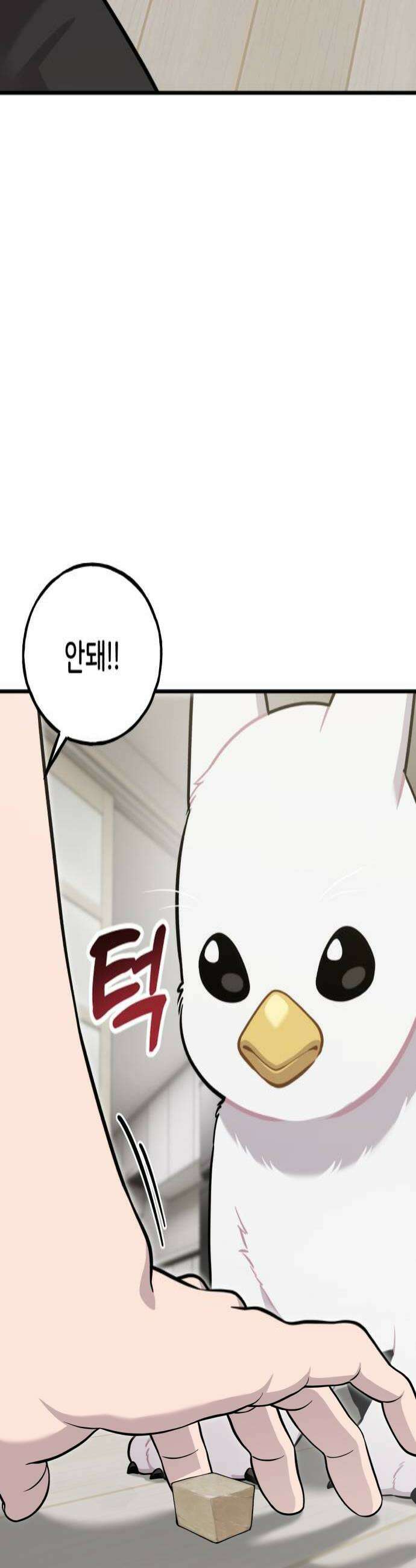 안녕 오목눈이 그리핀! 34화 기다려 4