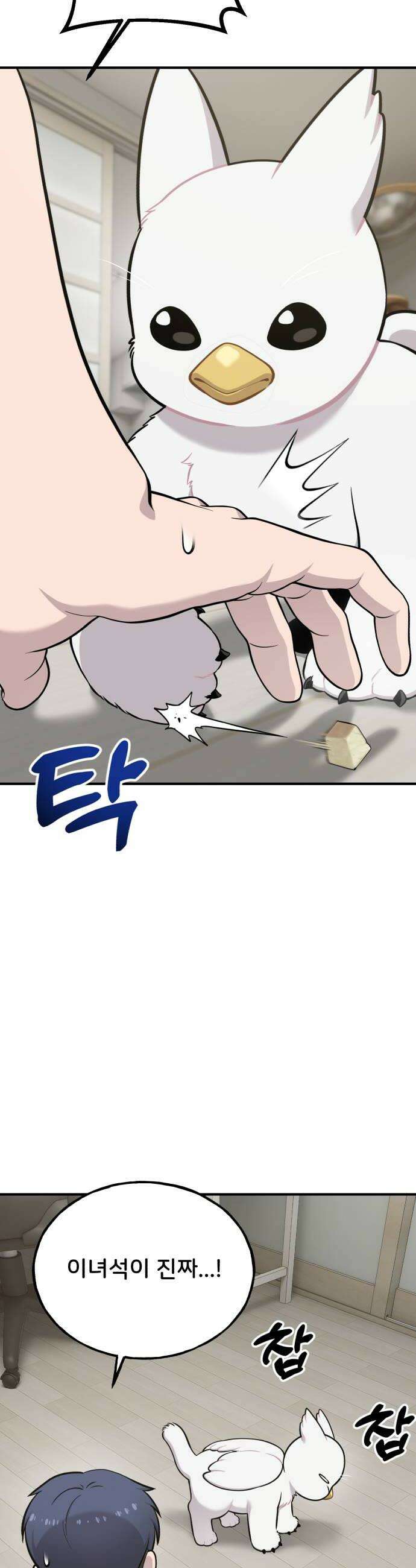 안녕 오목눈이 그리핀! 34화 기다려 6