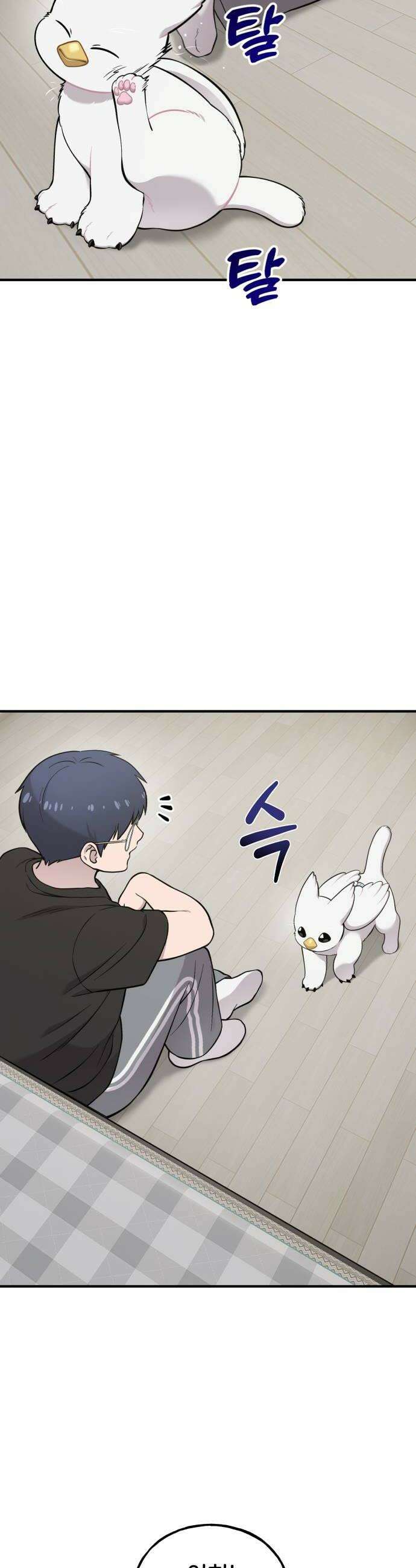 안녕 오목눈이 그리핀! 34화 기다려 8
