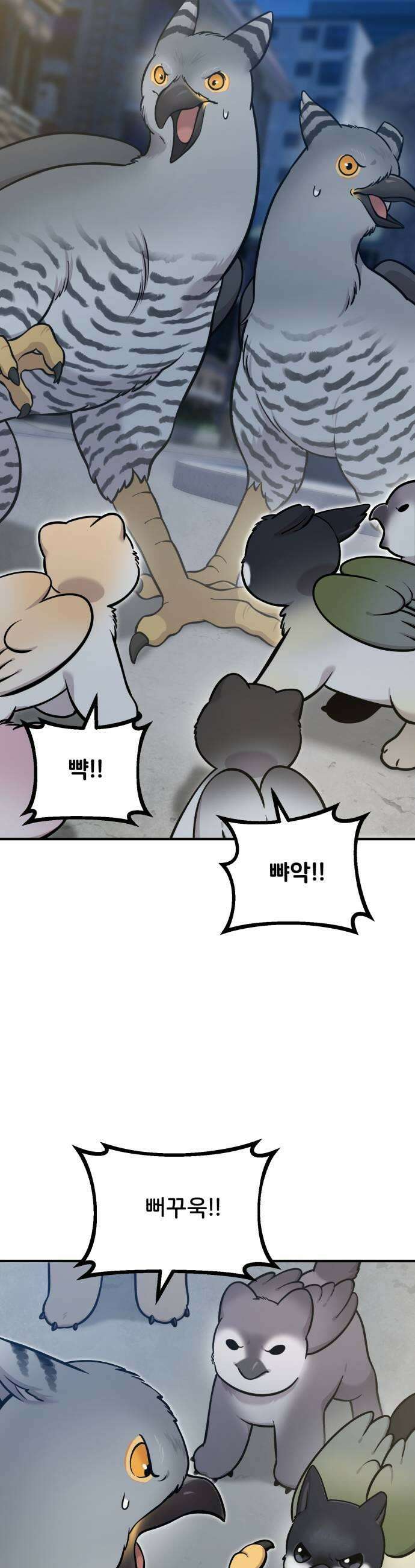 안녕 오목눈이 그리핀! 42화 무슨 상관이야 5