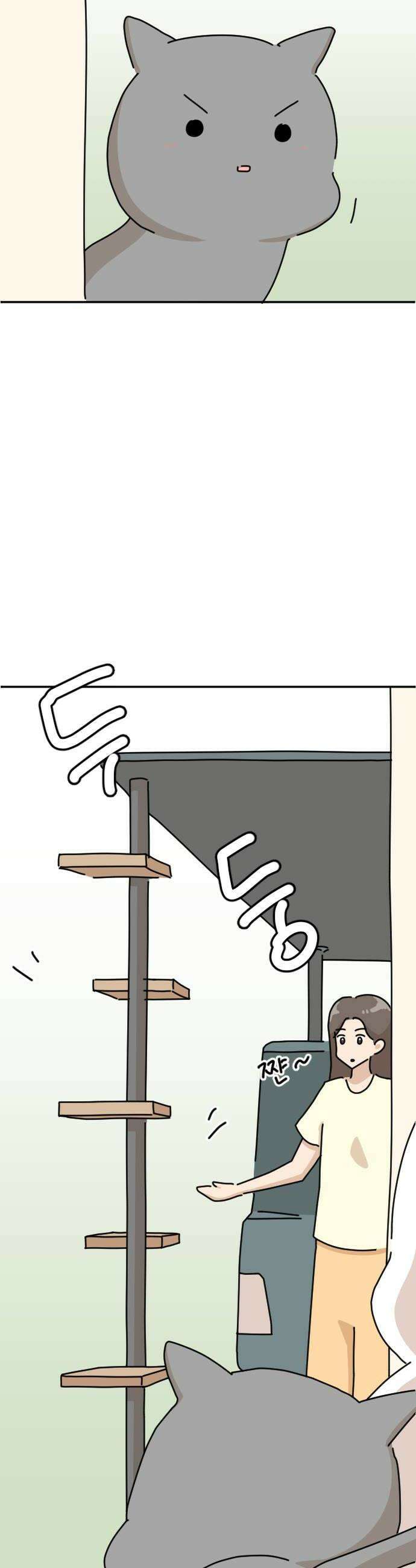 오리짱! 23화 내 방 사수 작전3 38