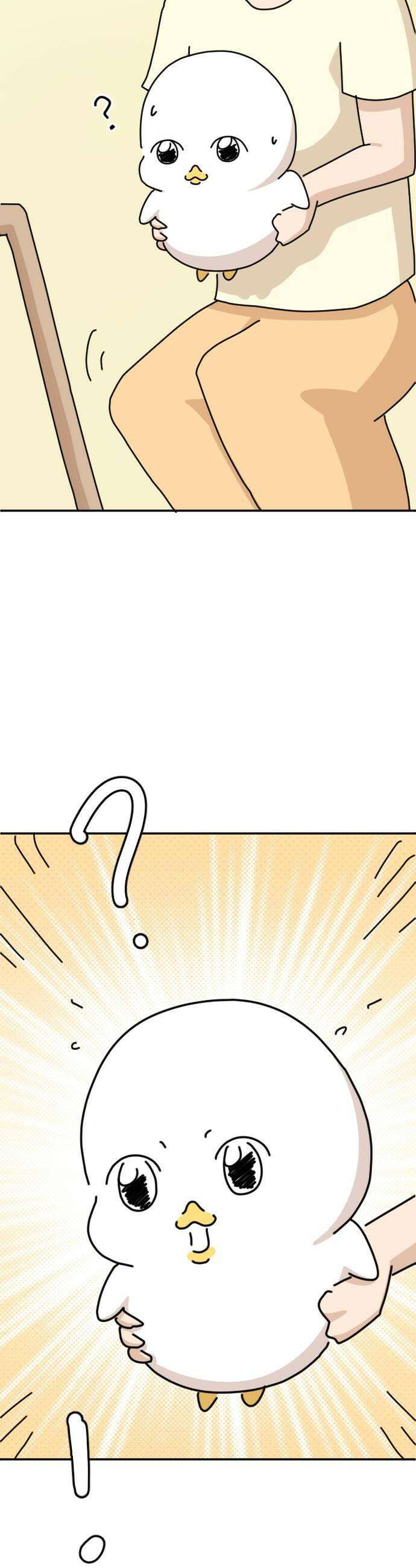 오리짱! 23화 내 방 사수 작전3 45