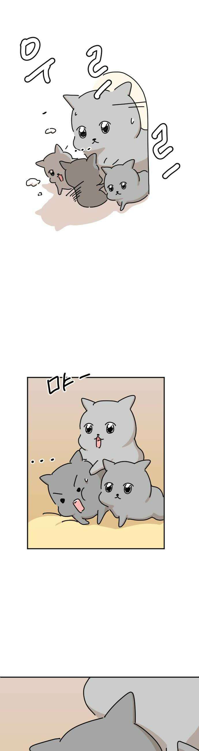 오리짱! 32화 테리의 꿈2 34