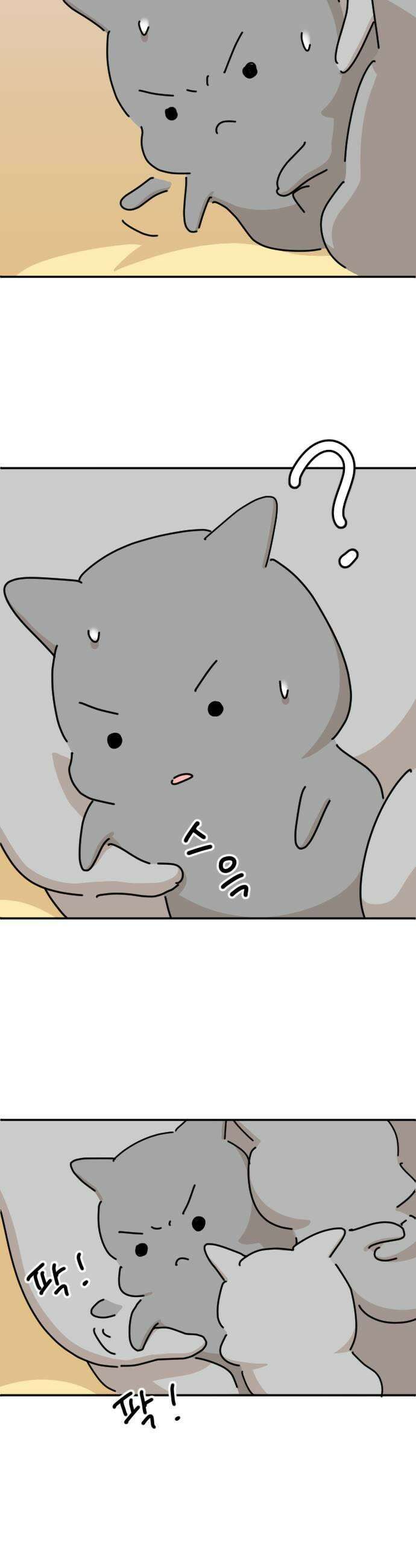 오리짱! 32화 테리의 꿈2 35