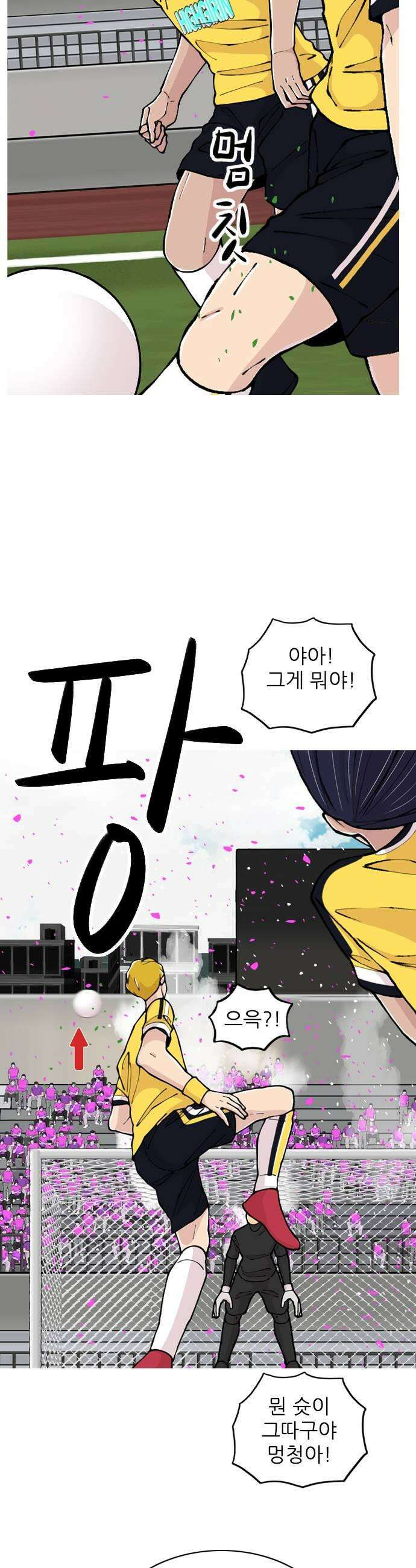 ZD 66화 승격 15