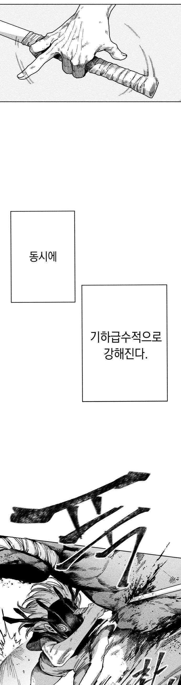부두슬램 제28화 구령야회 균과 재 14