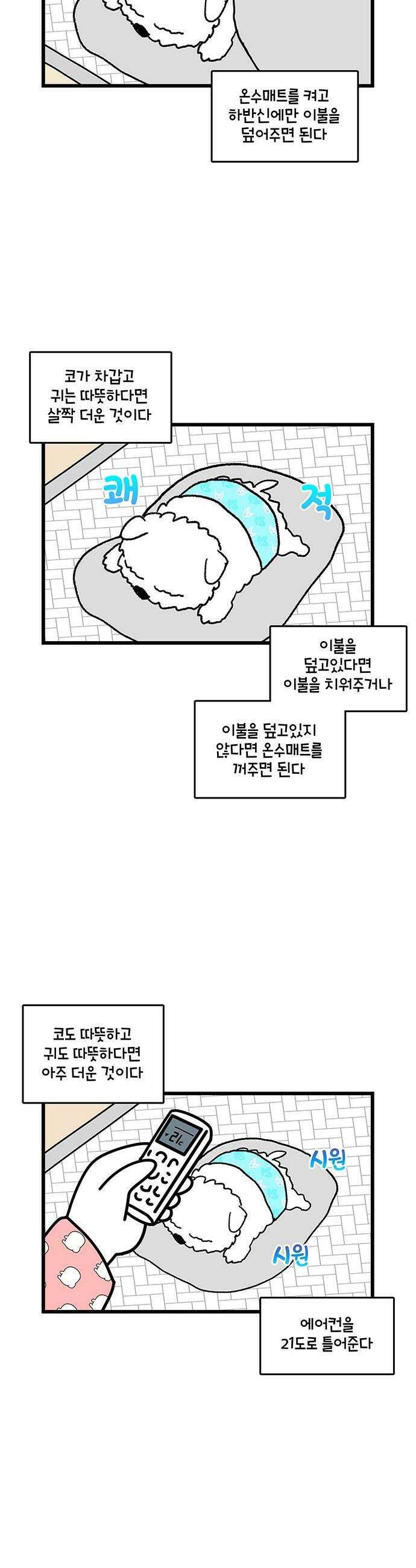 윌유메리미 시즌2 947화 1년 후 3/4 2