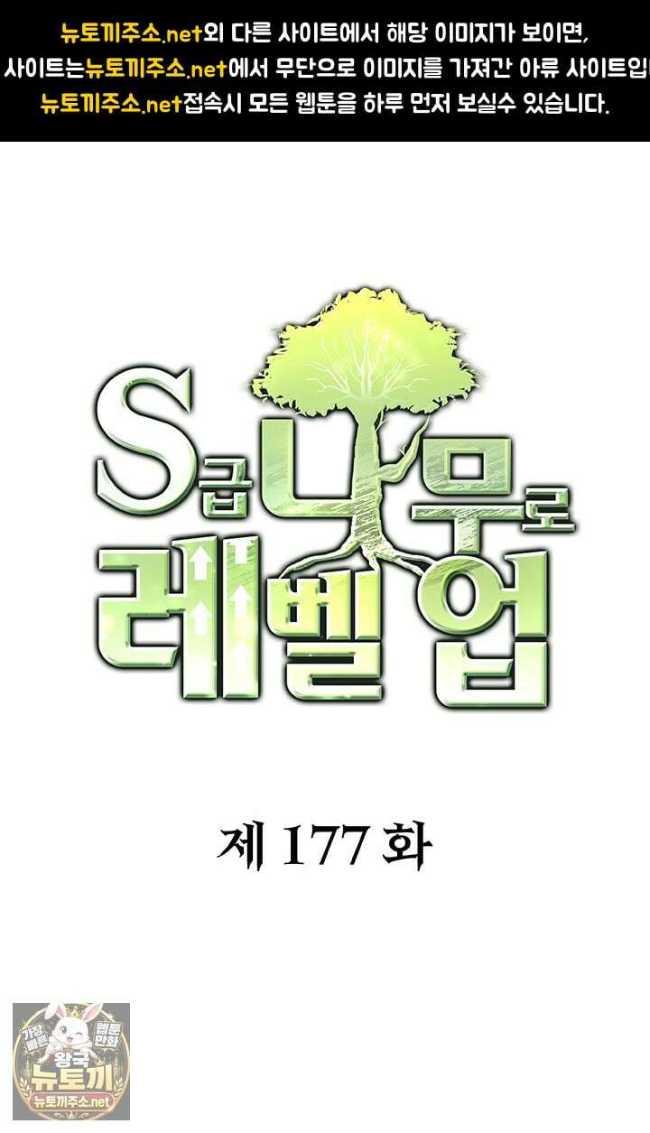 S급 나무로 레벨업 177화 1