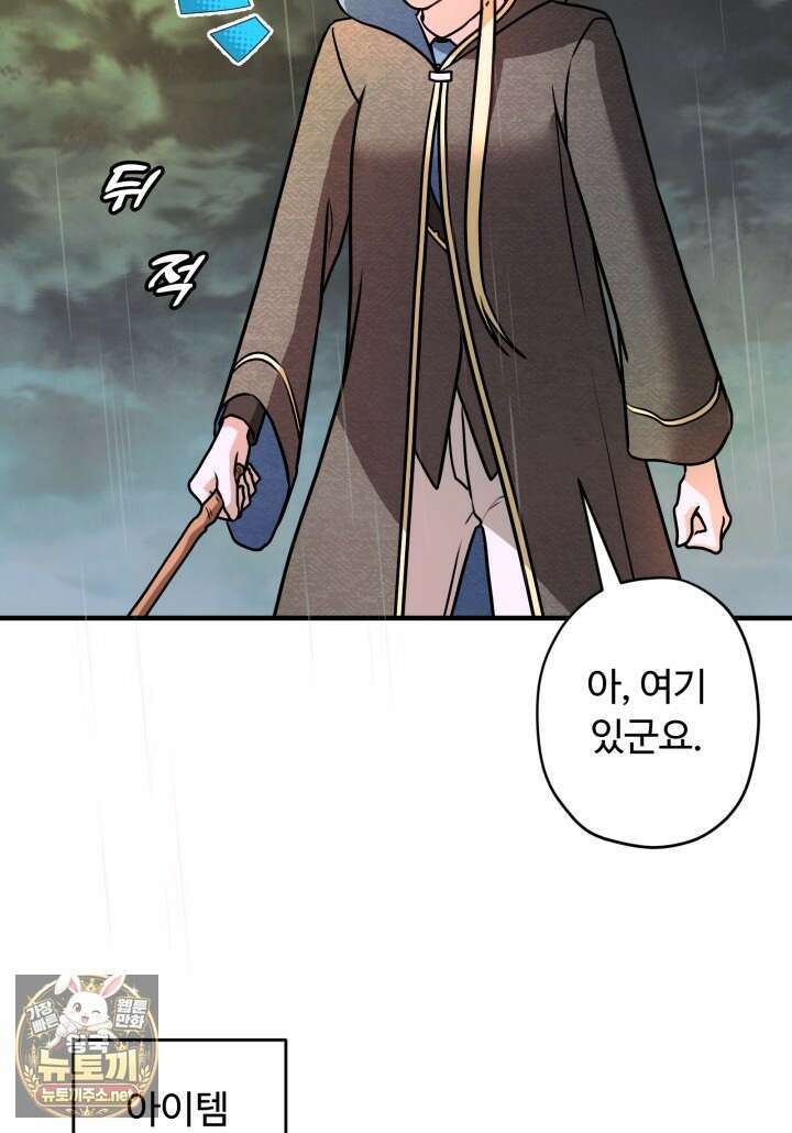 패왕영애 51화 4