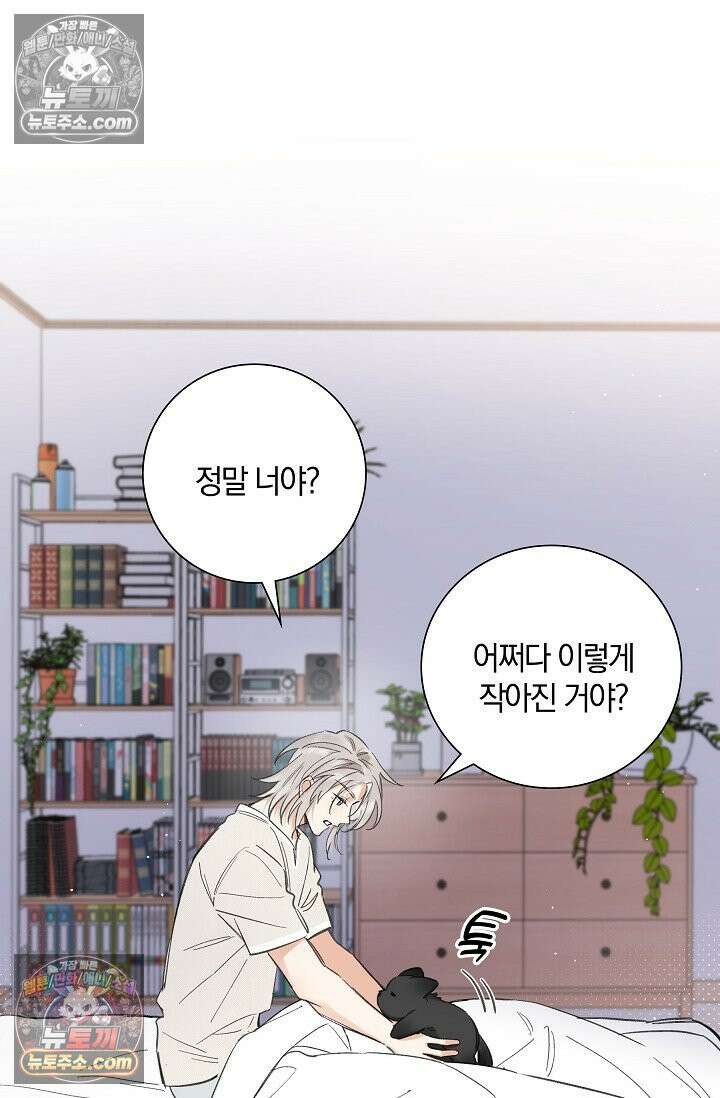 늑대가 날 책임지겠대 18화 8