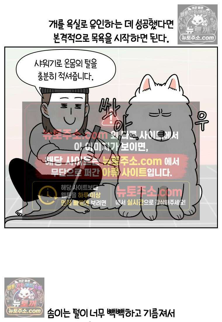 극한견주 시즌2 48화 샴푸질하기 2