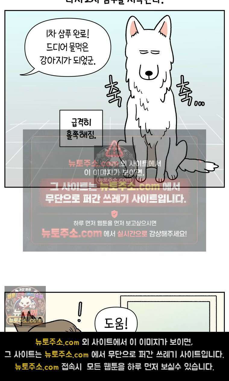 극한견주 시즌2 48화 샴푸질하기 4