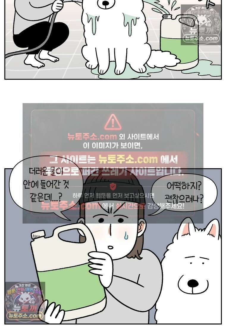 극한견주 시즌2 48화 샴푸질하기 19