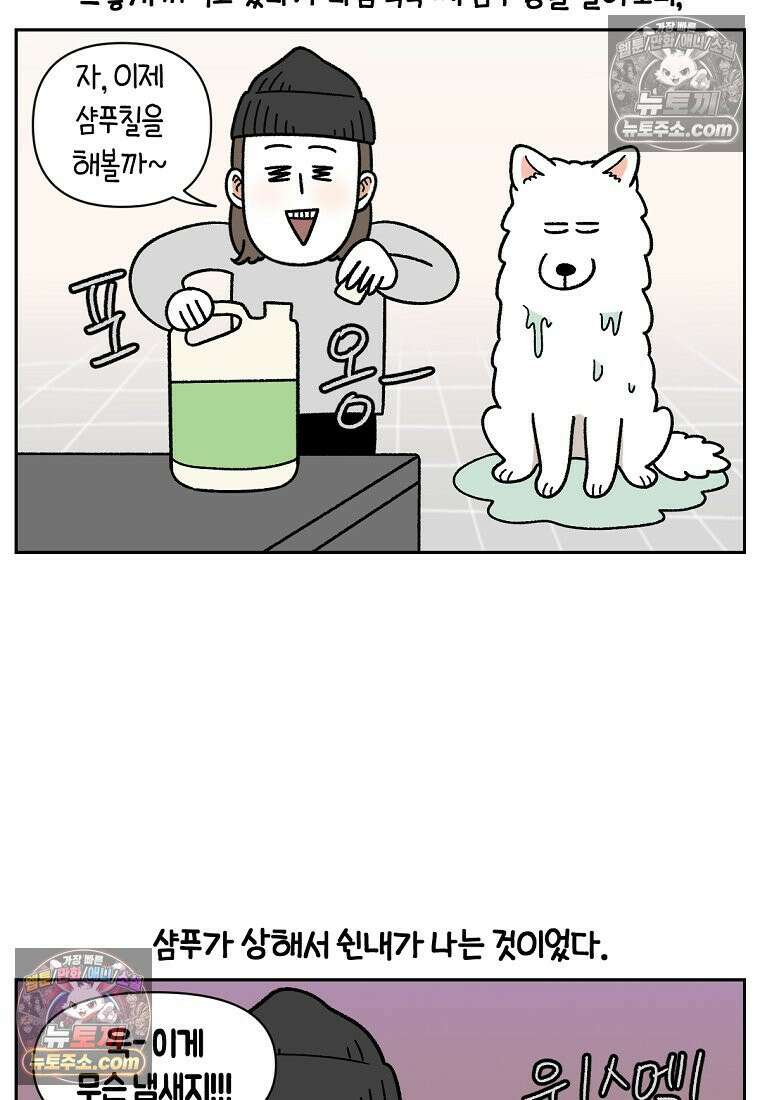 극한견주 시즌2 48화 샴푸질하기 21