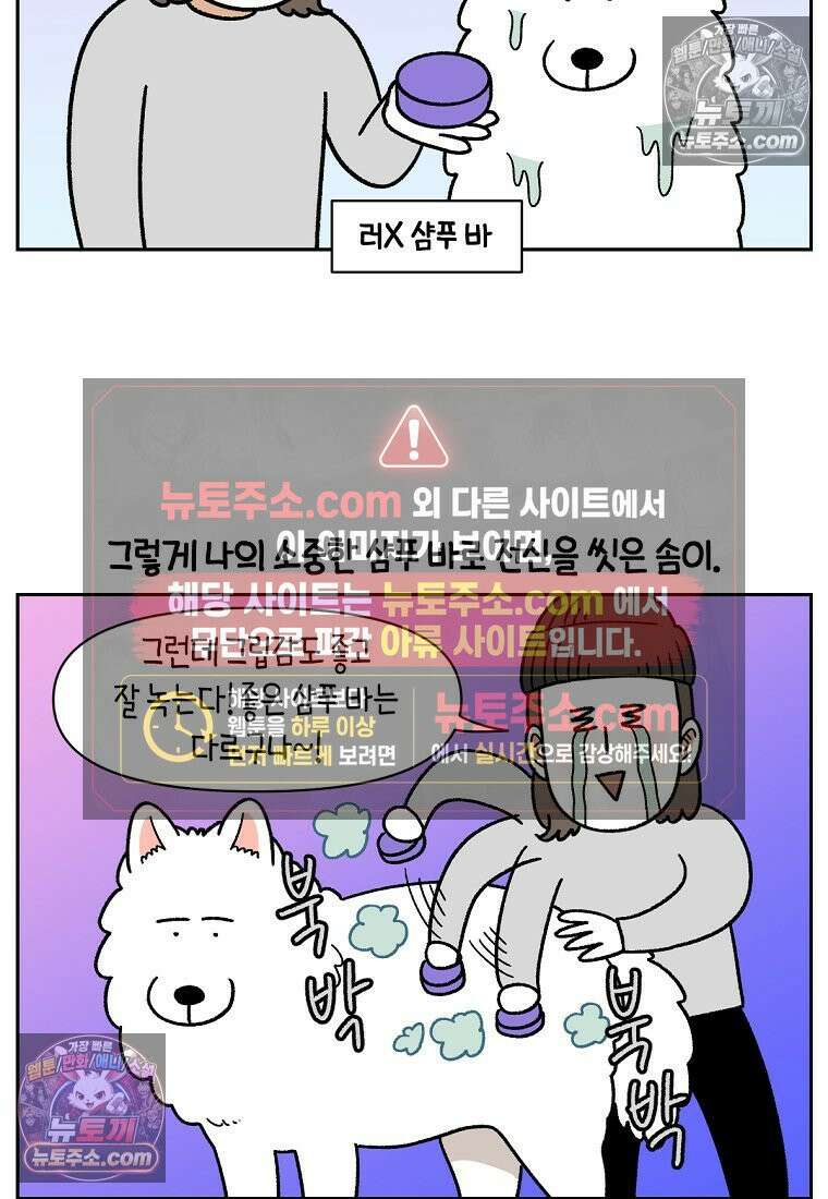 극한견주 시즌2 48화 샴푸질하기 24