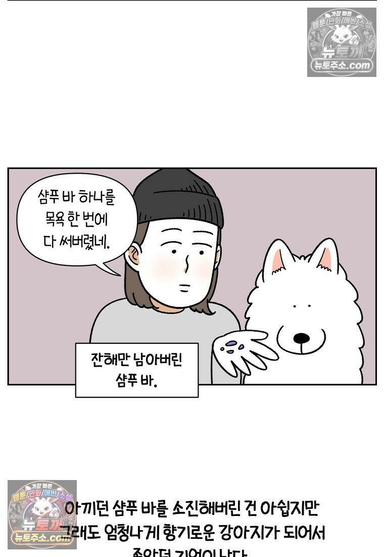 극한견주 시즌2 48화 샴푸질하기 25