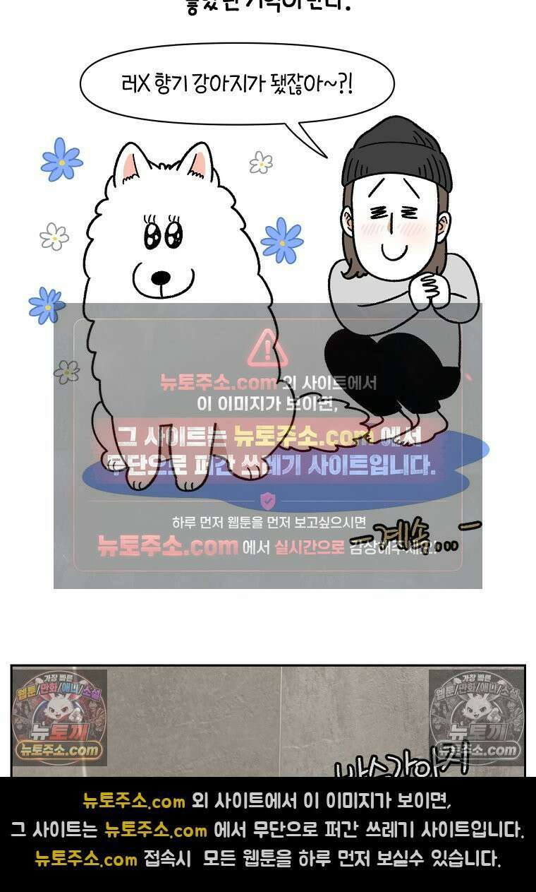극한견주 시즌2 48화 샴푸질하기 26