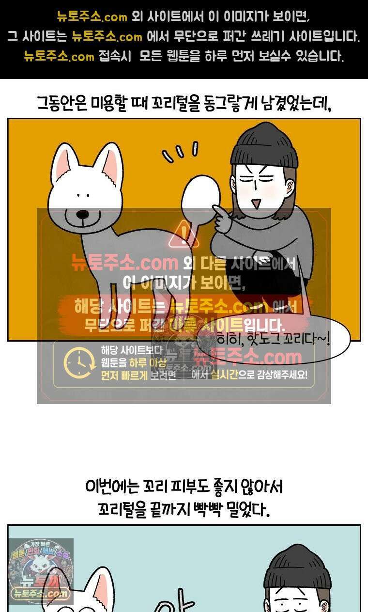극한견주 시즌2 55화 솜쥑쥑이 2