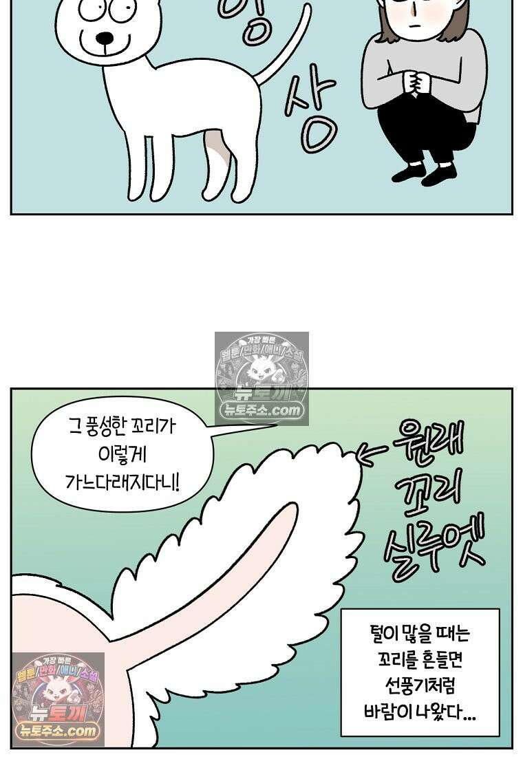 극한견주 시즌2 55화 솜쥑쥑이 3