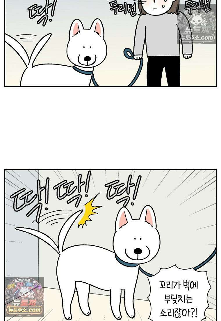 극한견주 시즌2 55화 솜쥑쥑이 5