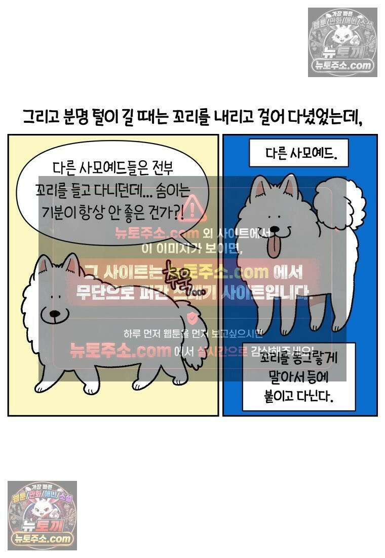 극한견주 시즌2 55화 솜쥑쥑이 7