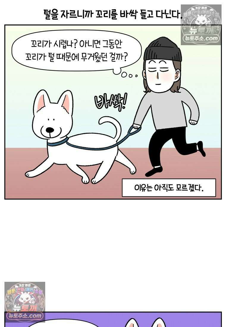 극한견주 시즌2 55화 솜쥑쥑이 8