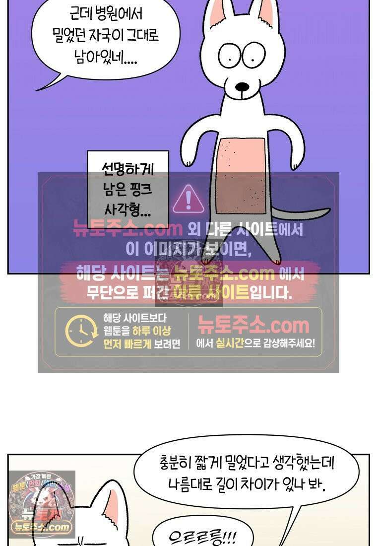 극한견주 시즌2 55화 솜쥑쥑이 9