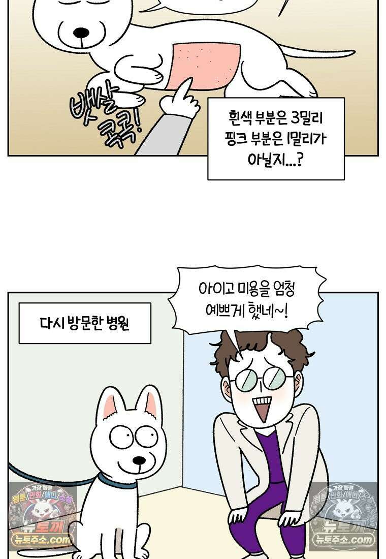 극한견주 시즌2 55화 솜쥑쥑이 10