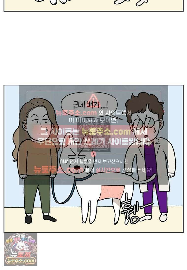 극한견주 시즌2 55화 솜쥑쥑이 11