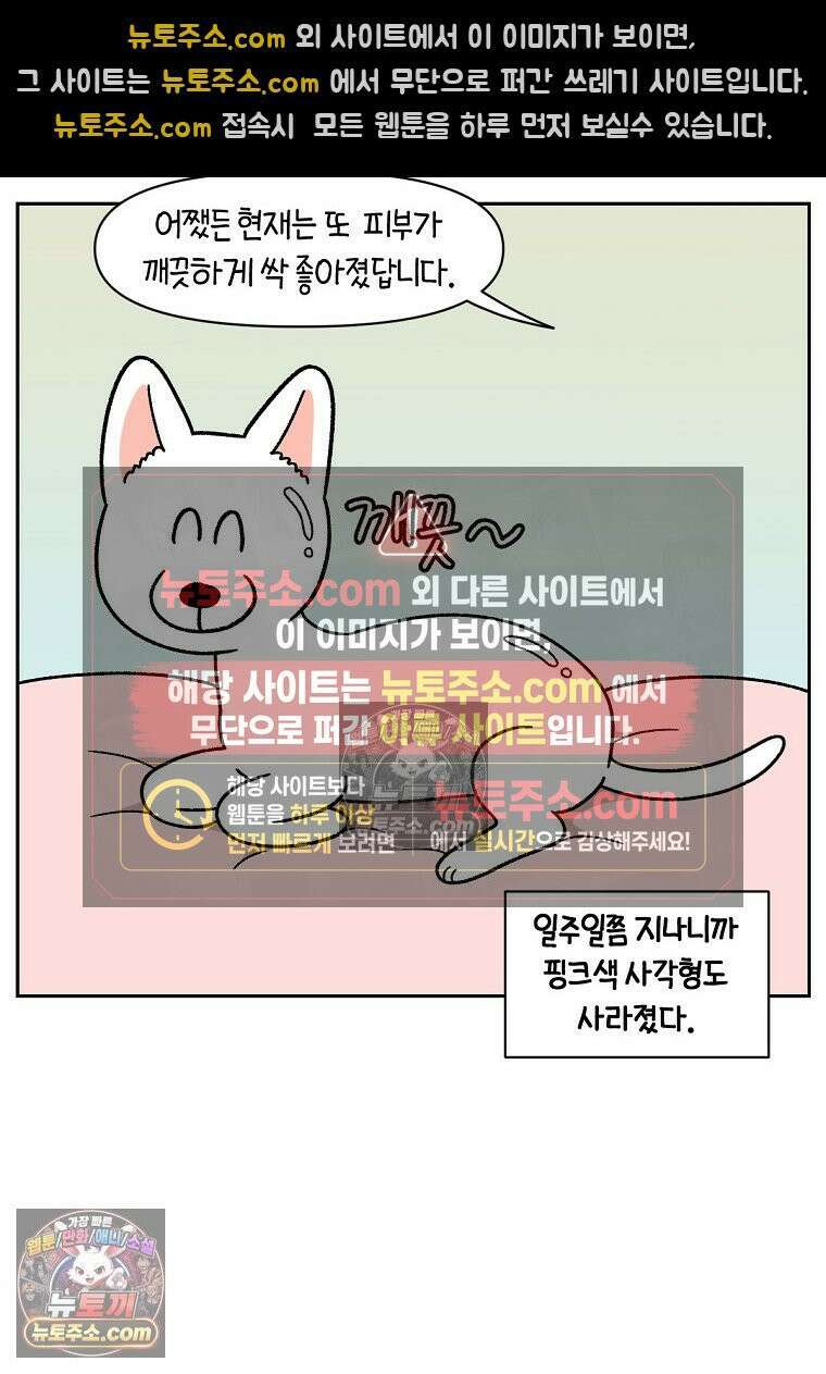 극한견주 시즌2 55화 솜쥑쥑이 16