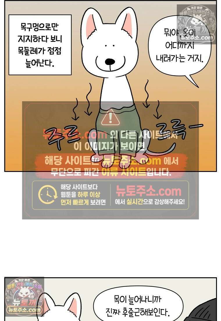 극한견주 시즌2 55화 솜쥑쥑이 19