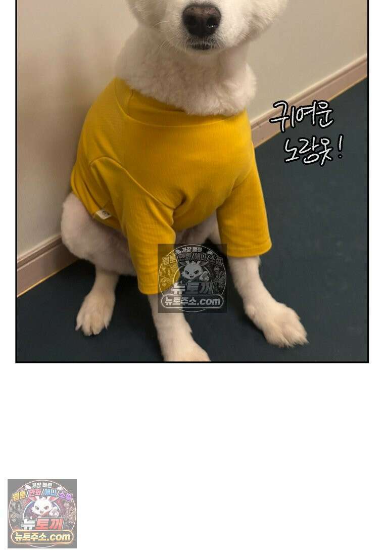 극한견주 시즌2 55화 솜쥑쥑이 25