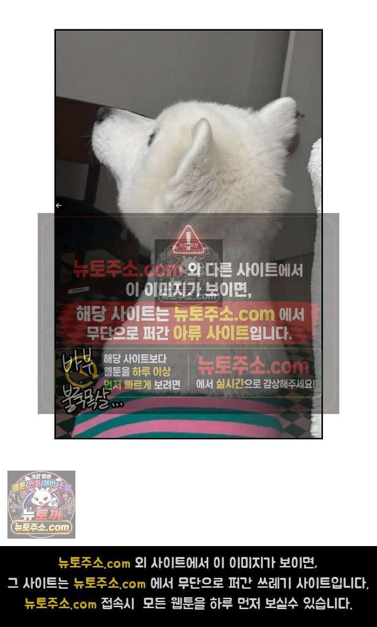 극한견주 시즌2 55화 솜쥑쥑이 26