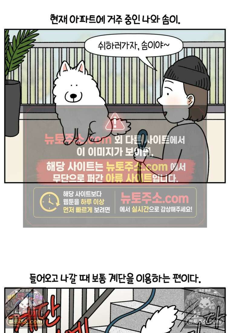 극한견주 시즌2 61화 계단과 개 2